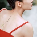 乐至、小小萱