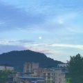 Gan - 多情种
