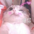 XIAOLI WANG