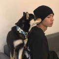 吉二郎、小奶瓶、晨妍、吉子迈子