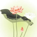普渡慈航会