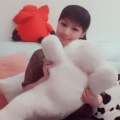 小独、晓枫