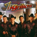 Los Tigrillos