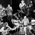 vienna art orchestra