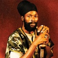 capleton、ninjaman、Clifton Bailey、Lloyd James Jr