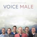 Voice Male