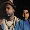 organized konfusion
