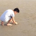 李昊 - 男人花