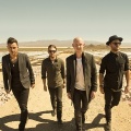 The Fray