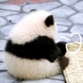 汀TING - the loneliest girl