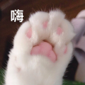 笛子不打折、王字十三杀