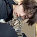 明夏、猫咪、小杨睡不醒