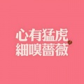 Rollya若里亚、白冰堂、追星逐日音乐社