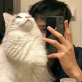 吴东霖