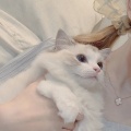 甜泽