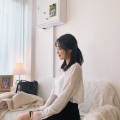 SER!N、挪威森林