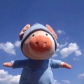 张强