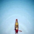 晴华露蔓