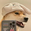 老灯