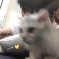 Zzeee. - 原來