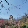 金浮尧