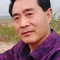 青苔与岩石、晓枫