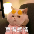 除西 - 若人间是你赠我