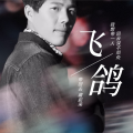 飞鸽 - 爱情转移