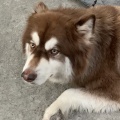 谭飞宇