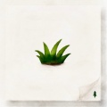 Grass