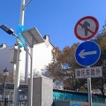 司命 - 违心分手