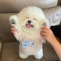 快乐就对了