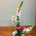 一棵草、陈天仁、王惠、陈汉芳
