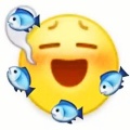 彭摸鱼