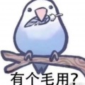 钓鱼丶