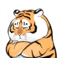 辰绍戎、姚瑶