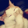 zzzzz薪、楠璃