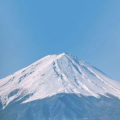 星沉xc