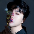 杨悦鹏