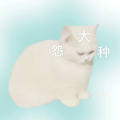 郩楼offical