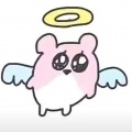 风扇