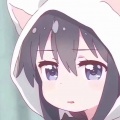 侯智译