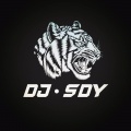 DJSdy、挽木琴、洛伊之恋、王博雅