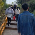 庄畅宇、根小八