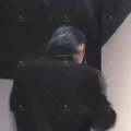 王子兰