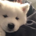 杨闰童