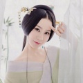胡术文