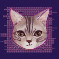 Zekyi、Capella Luv、SunnyCat、KKECHO - 谁的地盘