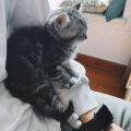 庭庭、锦弈