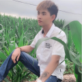 小鱼 - 爱到深处全是泪